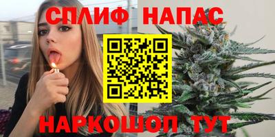 СК Моздок