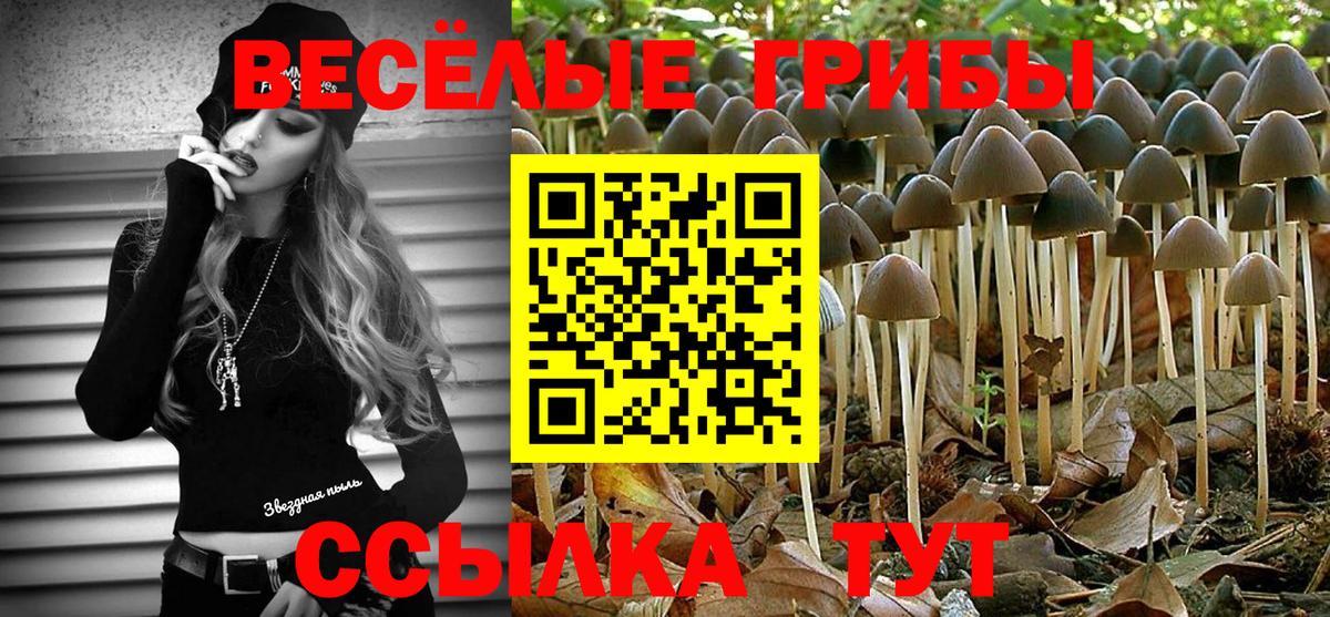 Псилоцибиновые грибы Psilocybe  Вход с VPN  Чебоксары 